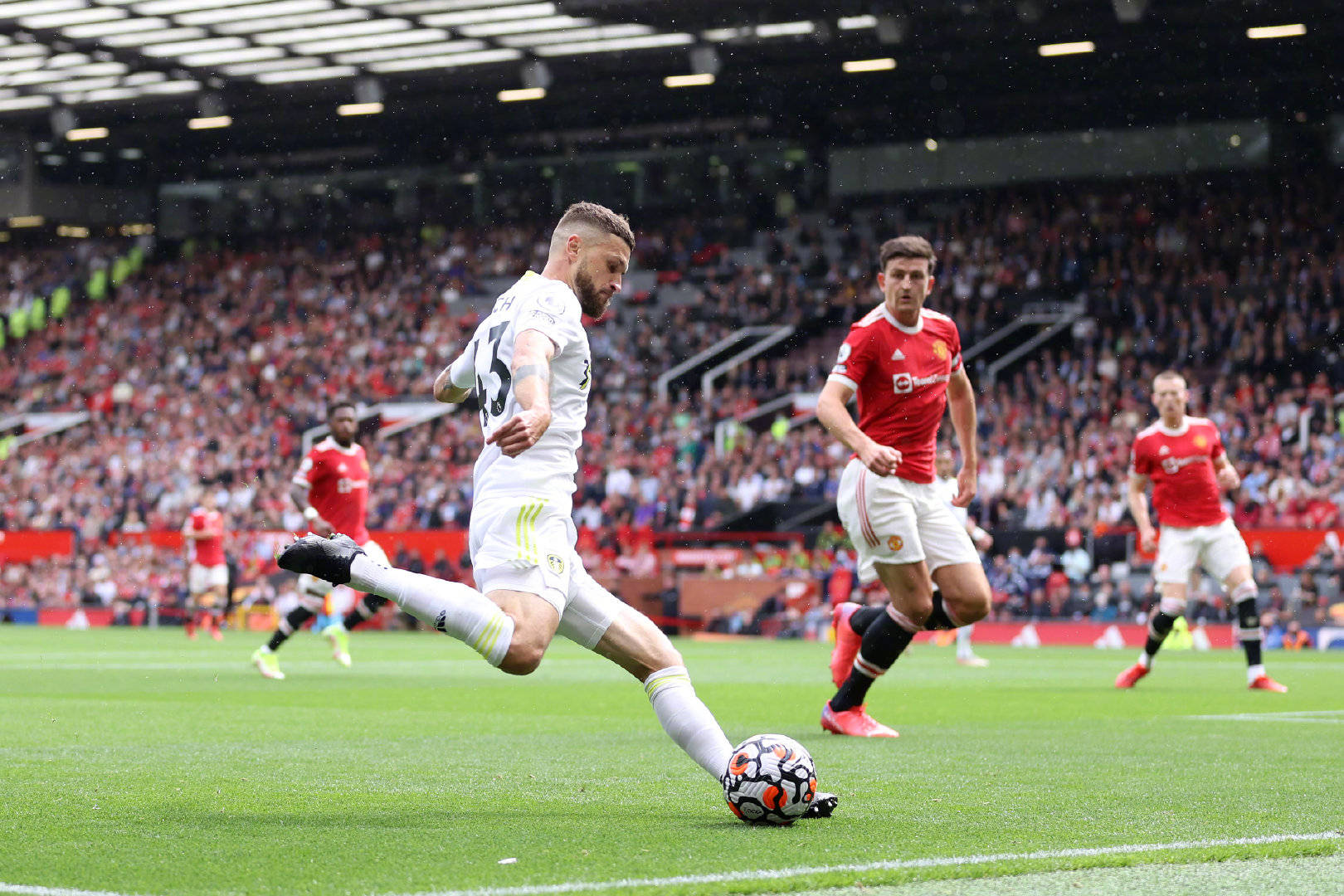 部因素的雙 部因素的雙